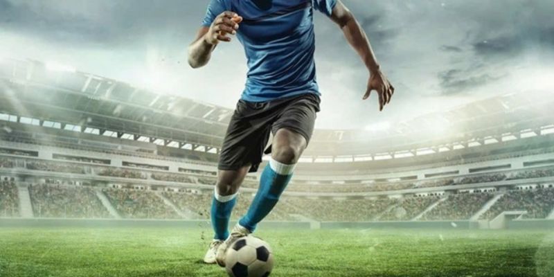 Biểu đồ phân tích yếu tố ảnh hưởng kèo